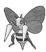 Beedrill