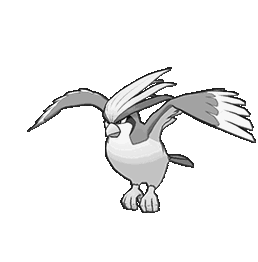 Pidgeot