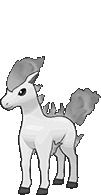 Ponyta